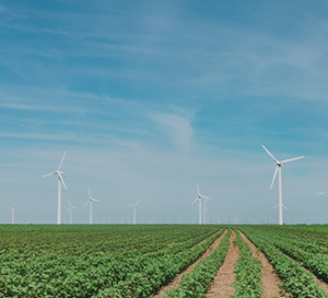 alternate energy wind farm