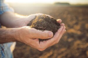 hands holding soil