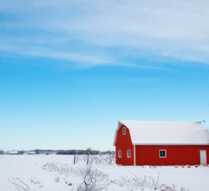 barn in snowy field