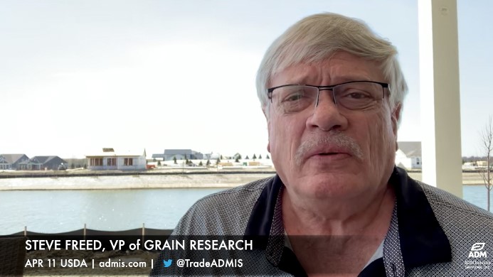 Steve Freed, Grain futures market analyst