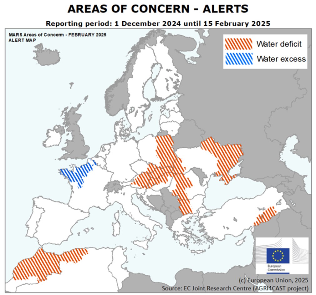 London Wheat Report - Futuresource chart