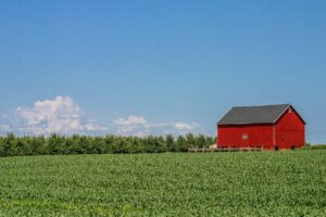 Red Shed on a Farm