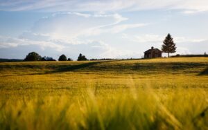 Distant barn on a farm